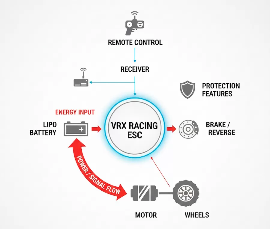 What is an ESC? The Brain of Your RC Car Explained